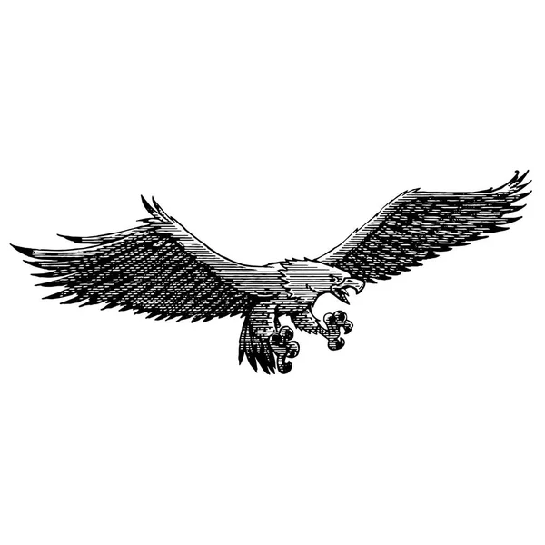 Illustration Pêcheur Aigle Ancienne — Image vectorielle