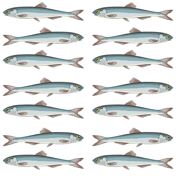 European Sardines School Fish Row — Stock Vector