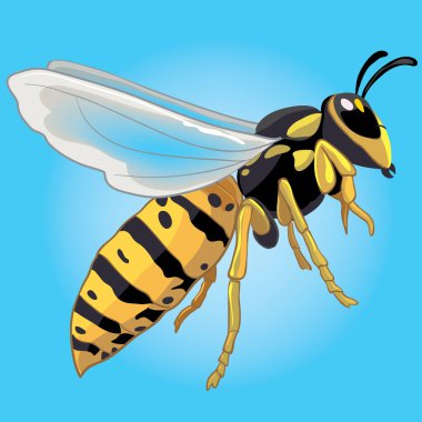 Mavi gökyüzünde uçan eşekarıları