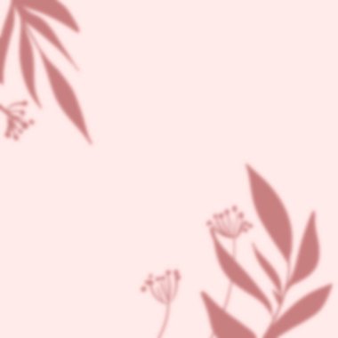 Gölge örtüsü etkisi. Şeffaf yumuşak ışık ve dallardan, bitkiden, yapraklardan gelen gölgeler. Şeffaf yaprak gölge etkisi şablonu.