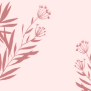 Gölge örtüsü etkisi. Şeffaf yumuşak ışık ve dallardan, bitkiden, yapraklardan gelen gölgeler. Şeffaf yaprak gölge etkisi şablonu.