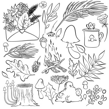 Elle çizilmiş dijital orman elementleri grafik tarzında. Doğa koleksiyonu. El yapımı orman ikonları: yapraklar, böğürtlen, mantarlar, çam dalları, şenlik ateşi. 
