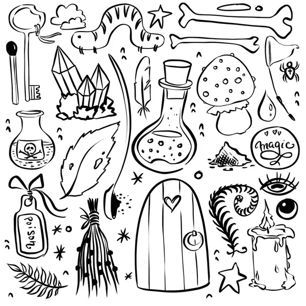 Digital set of hand drawn magic elements in graphic style. Magic collection. Hand drawn icons: leaves, berries, mushrooms, kristal, potion.