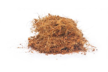 Hindistan cevizi kabuğu toprağa nem vermek için ağaçlar koymak.