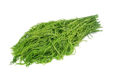 Chaom ağacı küçük bir çalı. Güneydoğu Asya ve Güney Asya kökenli gövde ve dalları sivri olacaktır. Kırpma Yolu ile.