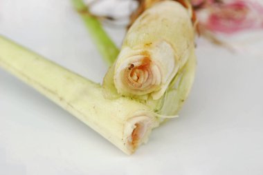 Lemongrass 'ın patojenleri. Lemongrass' ı gözlemlemek bir hastalıktır..