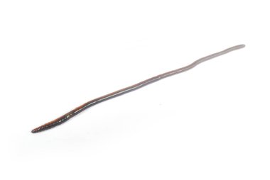 Toprağı beslemek için tarım için solucan gübresi..