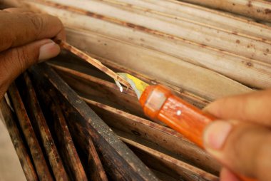 Hindistan cevizi korusunun yolunu nasıl seçeceğimi. Hindistan cevizi ağacı nasıl kesilir?.