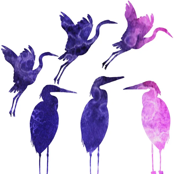 Suluboya balıkları, deniz kabukları seti.