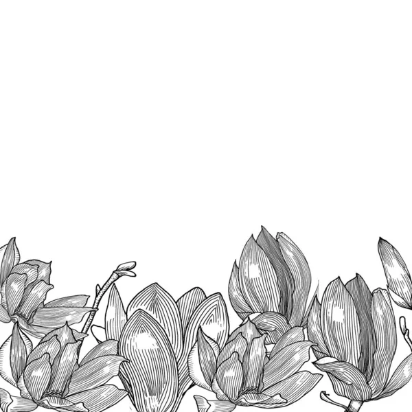 Karta Magnolii Ręcznie Rysowane — Zdjęcie stockowe