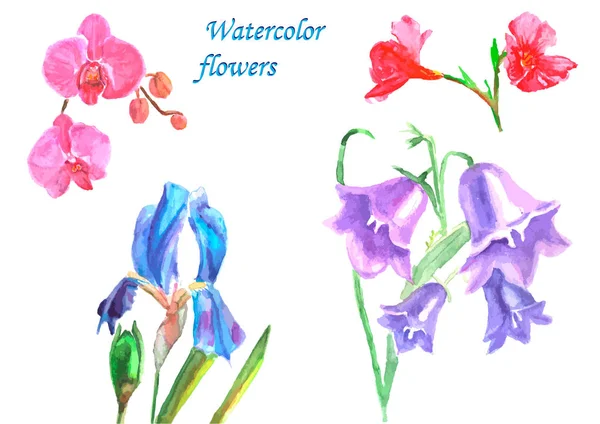 Set Van Aquarelbloemen — Stockfoto