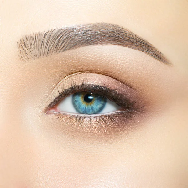 Beautiful Gentle Makeup Female Eye — Stock Photo, Image