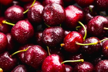 Bir sürü olgun kiraz, kırmızı, güzel çilek.