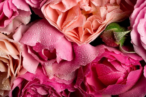深色背景下的一束艳丽的玫瑰 多彩的花 — 图库照片