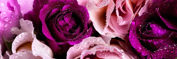 暗色で多色の花に明るいバラの花束 ストック画像