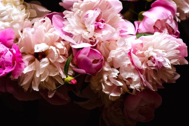 Koyu bir arka planda yemyeşil şakayık çiçekleri, bir buket parlak çiçek.