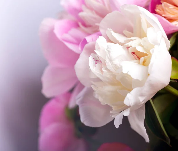 Bouquet Pivoines Sur Fond Sombre Arôme Fleurs Qui Vous Rend Image En Vente