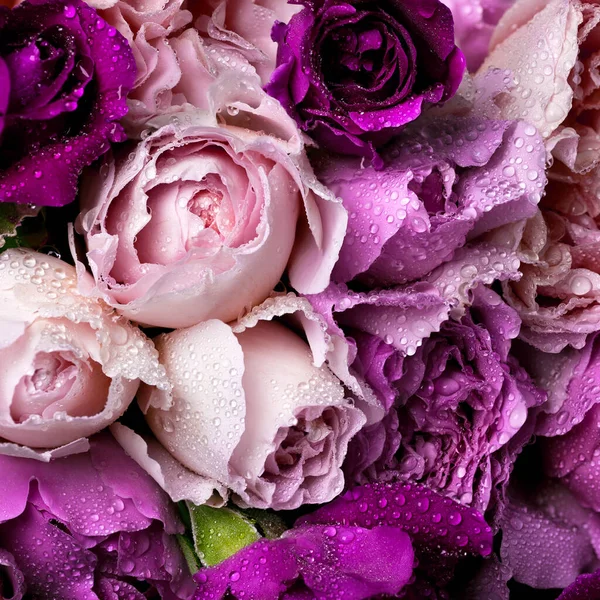 一大束美丽的玫瑰 不同颜色的玫瑰卡片 — 图库照片