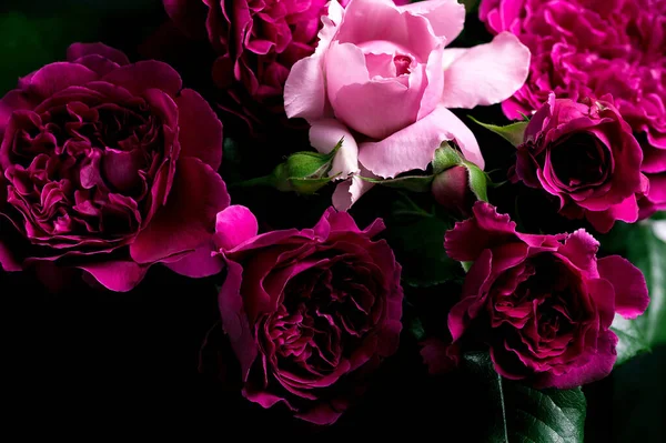 一大束美丽的玫瑰 不同颜色的玫瑰卡片 — 图库照片
