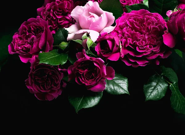 一大束美丽的玫瑰 不同颜色的玫瑰卡片 免版税图库照片