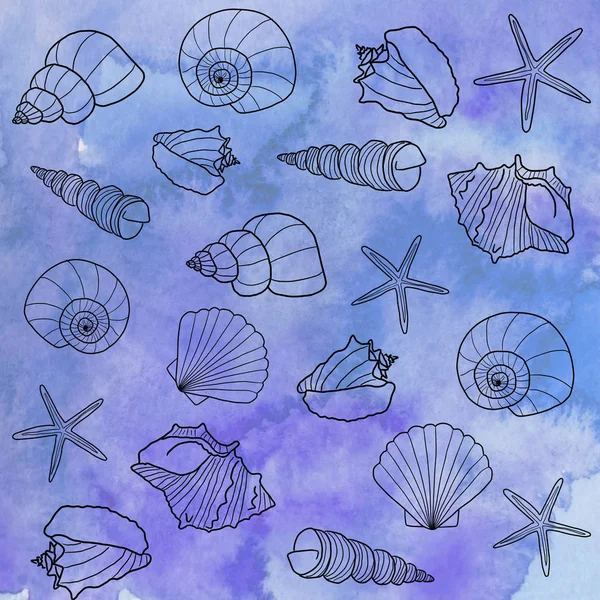 Seashells Fundo Aquarela — Fotografia de Stock