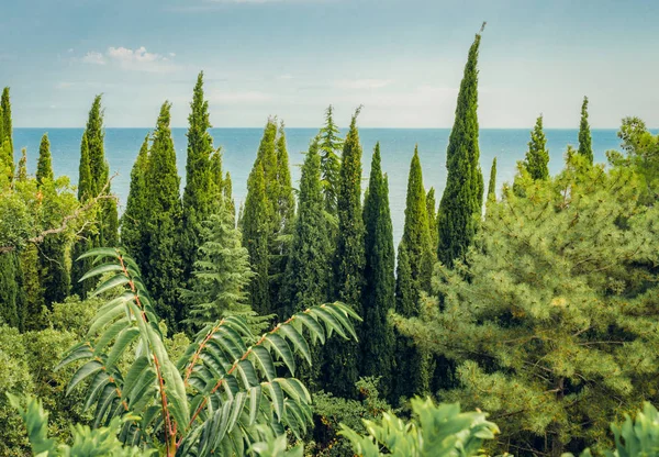 Karadeniz kıyısında Kırım'da Levadsky Sarayı Parkı