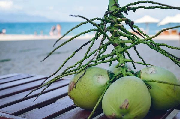 Cocos verdes em um galho deitado em uma espreguiçadeira — Fotografia de Stock