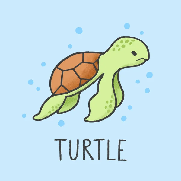 pic Cute Animated Turtle turtle cartoon images search images