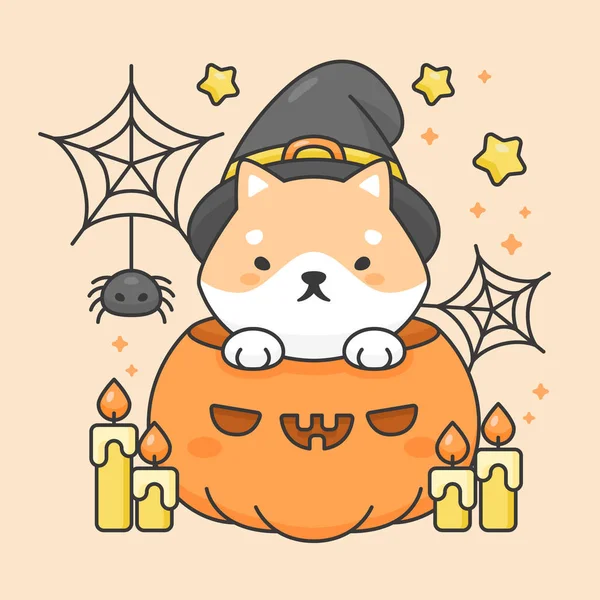 Personaje vectorial de lindo perro shiba inu en una calabaza con vela y traje de Halloween araña — Vector de stock