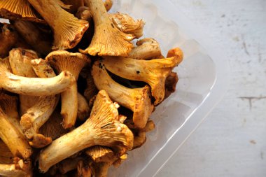 açık gri arka plan üst görünümünde taze altın chanterelles