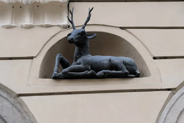 Estatua Negro Ciervo Ornamento Fachada Una Las Casas Históricas Viviendas — Foto de Stock