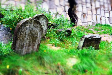 Polonya, Kazimierz Dolny 'deki eski bir Yahudi mezarlığında antik matzevah.