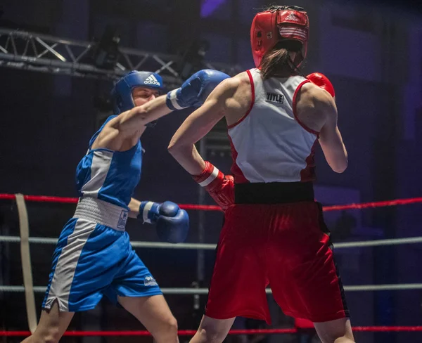 Reunião de boxe — Fotografia de Stock