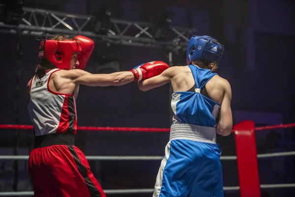 Reunião de boxe — Fotografia de Stock