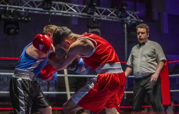 Reunião de boxe — Fotografia de Stock