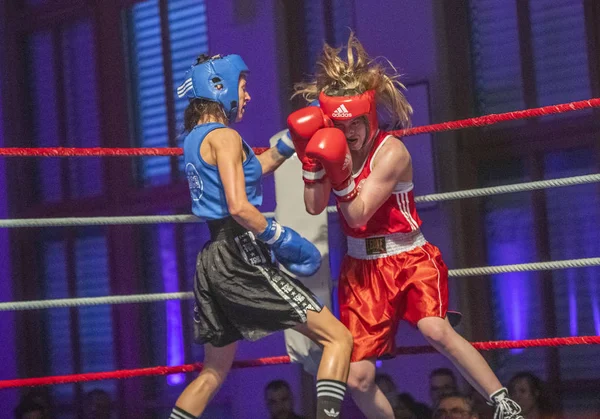 Reunião de boxe — Fotografia de Stock