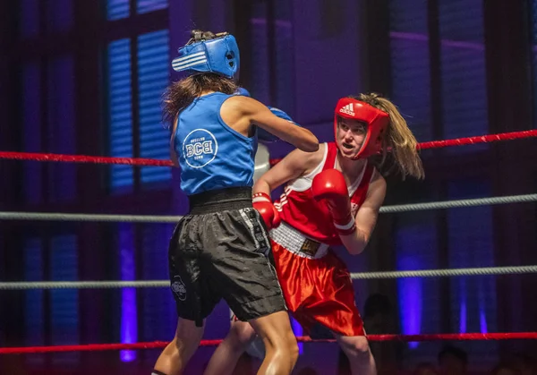 Reunião de boxe — Fotografia de Stock