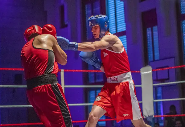 Reunião de boxe — Fotografia de Stock