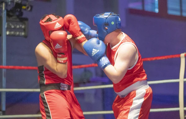 Reunião de boxe — Fotografia de Stock