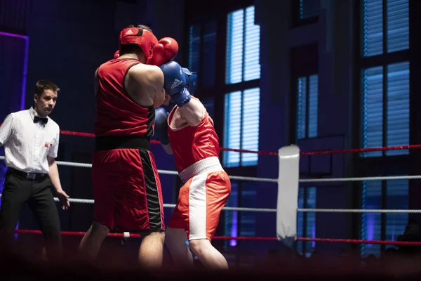 Reunião de boxe — Fotografia de Stock