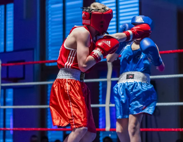 Reunião de boxe — Fotografia de Stock