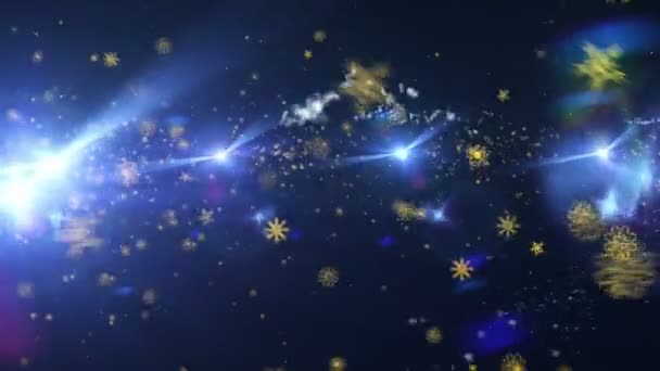 圣诞雪花暴雪 — 图库视频影像