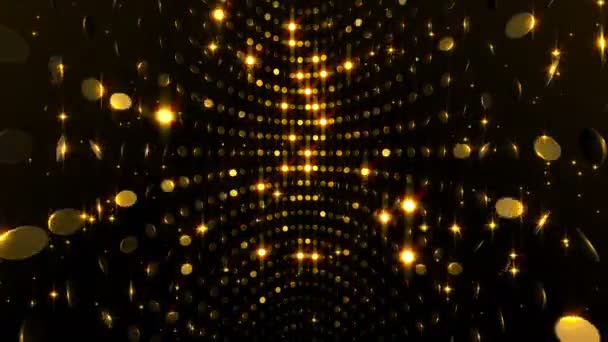 Festive Particles Glitter — Stock Video