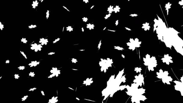 Maple Leaves Alpha — Stock Video