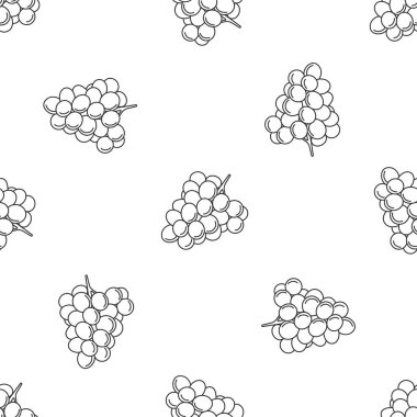 Meyveler simgeleri ile sorunsuz desen. Stil Anahattı. Vektör arka planı. Beyaz arka plan, siyah simge.