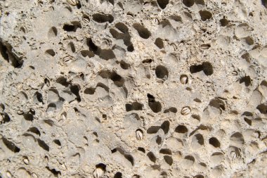 Kahverengi taş duvar, arka plan, doku. Kabukları ile deniz taşı.