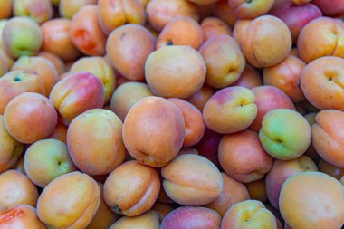 Olgun kayısı meyve arka plan. Bir sürü kayısı, hasat, çiftçilik. Piyasada kayısı satışı.