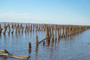 Gül tuzu üretimi, yosun soleros ile tuz gölleri. Bu kozmetik, tedaviler, tıbbi ürünler üretimi için dünyanın en yararlı, ham organik vegan malzemeler olarak kabul edilir .