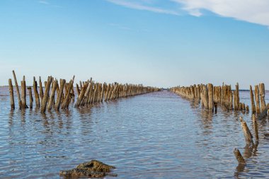 Gül tuzu üretimi, yosun soleros ile tuz gölleri. Bu kozmetik, tedaviler, tıbbi ürünler üretimi için dünyanın en yararlı, ham organik vegan malzemeler olarak kabul edilir .