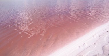 Gül tuzu, yosun ve çamur ile tuz gölleri üretimi. Bu kozmetik, ilaç, tıbbi ürünlerin üretimi için dünyanın en yararlı organik bitki hammadde olarak kabul edilir .